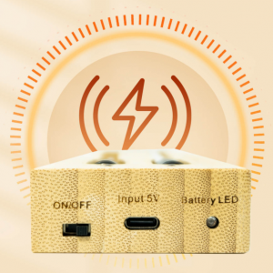 20 minutes rush charging