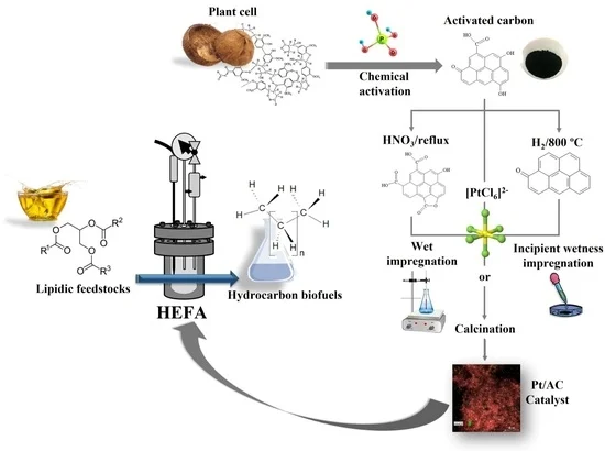 Activated Carbon-Supported Pt Catalysts