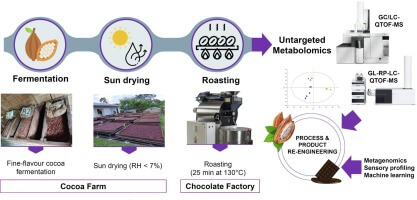 Bioactive and flavor compounds in cocoa liquor