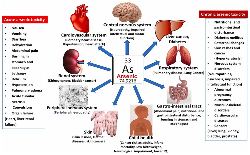 Health effects of arsenic contamination