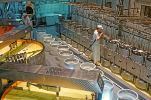 Milk Production Process