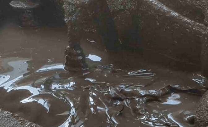  Oil-Based Drilling Mud