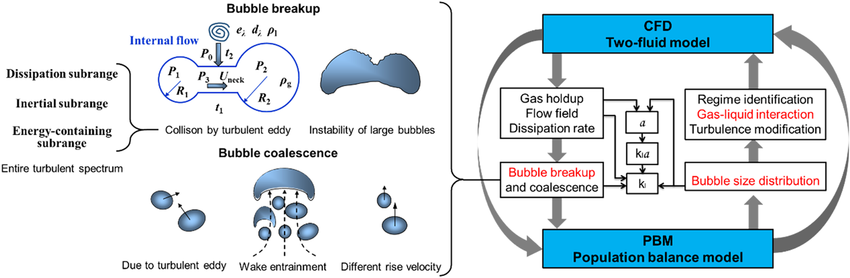 Schematic of the CFD‐PBM coupled model