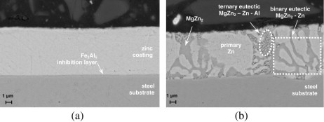 Zn–Al–Mg coated steel sheet in sodium chloride