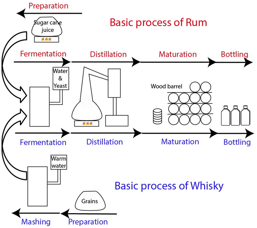 basic elaboration process of rum