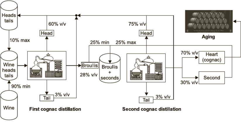 brandy production process