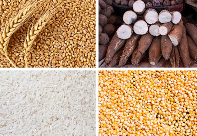 calcium content of staple crop