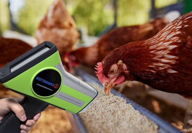 calcium in poultry feed