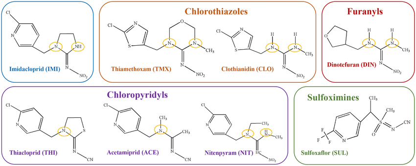 chemical structures of common neonicotinoids insecticides