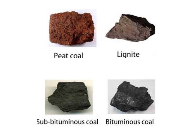 coal rock classification