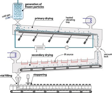 continuous manufacturing in lyophilization