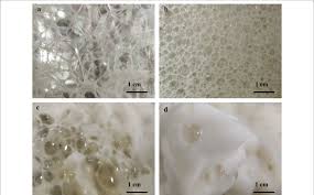 foam in fermentation