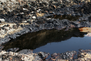 heavy metal detection