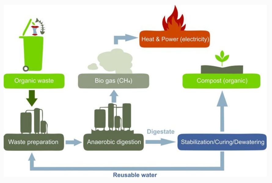 how biodegradable plastics break down