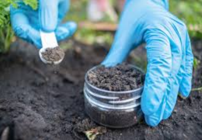 in situ soil analysis