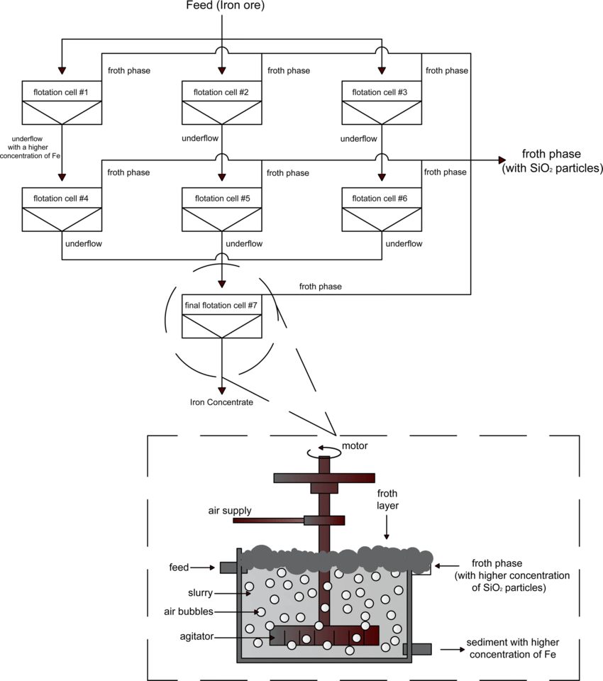 iron ore flotation process