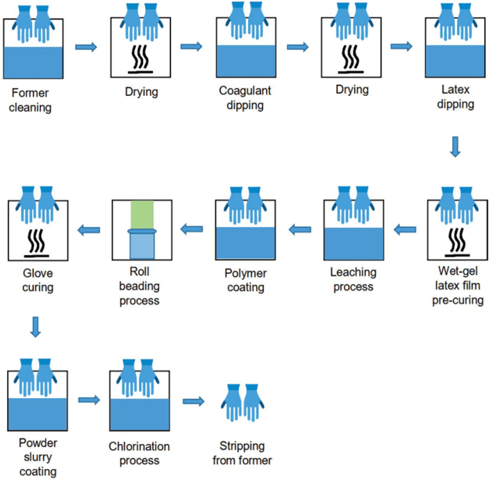 medical latex glove manufacturing process