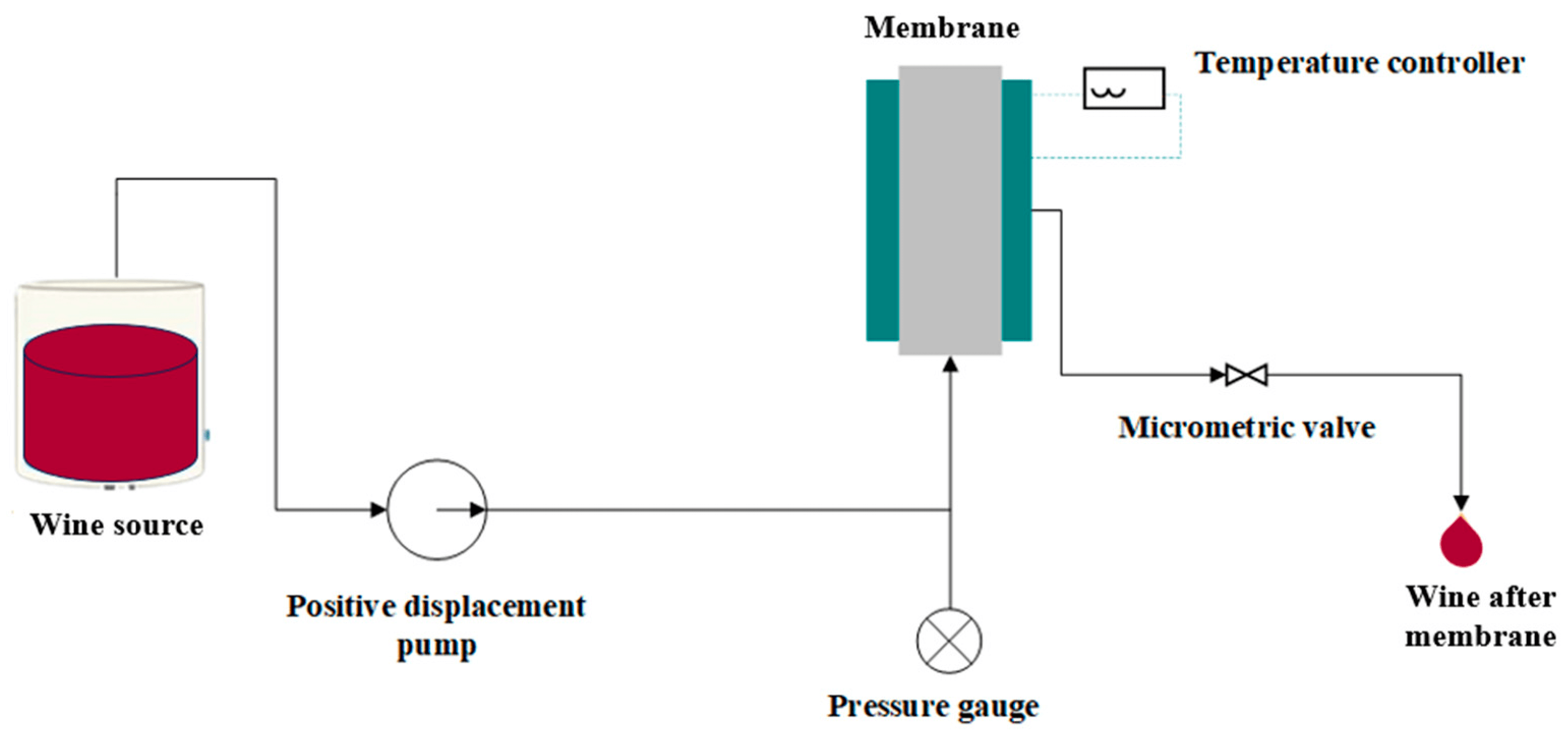 membrane filtration wine