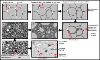 microstructure during hydrogenation