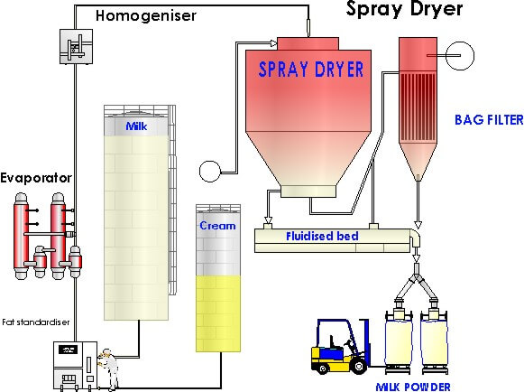 milk powder production process