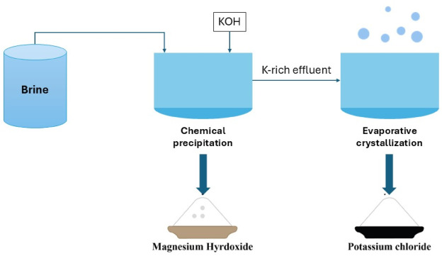 recovery from potash brine effluent