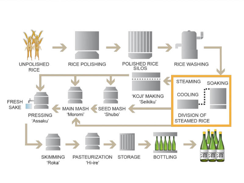 sake making process