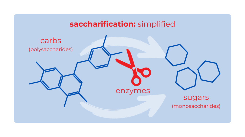 sake saccharification