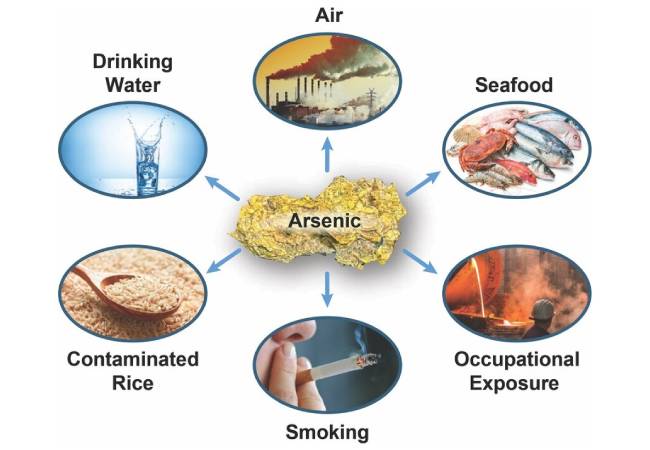sources of exposure to arsenic for people