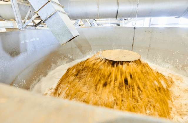 steeping process in malting