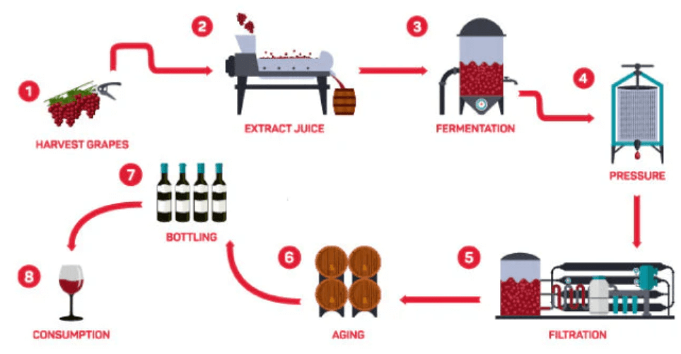 white wine production steps