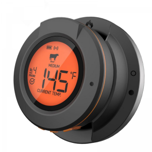 can i put a meat thermometer in the oven